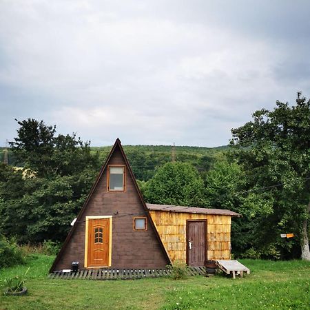 Вилла Livada Becica Carbunari  Экстерьер фото