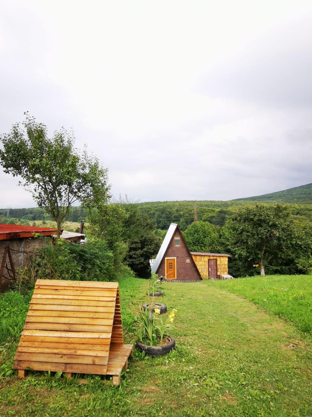 Вилла Livada Becica Carbunari  Экстерьер фото